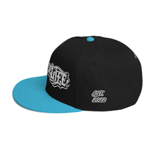 Load image into Gallery viewer, Down For Life Inc. 2023 BIG Logo SnapbackSnapback Hat
