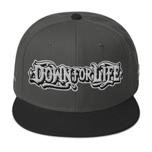 Load image into Gallery viewer, Down For Life Inc. 2023 BIG Logo SnapbackSnapback Hat
