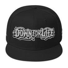 Load image into Gallery viewer, Down For Life Inc. 2023 BIG Logo SnapbackSnapback Hat
