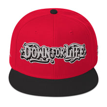 Load image into Gallery viewer, Down For Life Inc. 2023 BIG Logo SnapbackSnapback Hat
