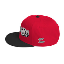 Load image into Gallery viewer, Down For Life Inc. 2023 BIG Logo SnapbackSnapback Hat
