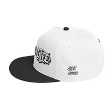 Load image into Gallery viewer, Down For Life Inc. 2023 BIG Logo SnapbackSnapback Hat
