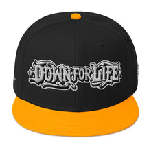 Load image into Gallery viewer, Down For Life Inc. 2023 BIG Logo SnapbackSnapback Hat
