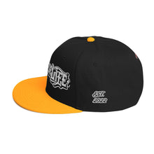 Load image into Gallery viewer, Down For Life Inc. 2023 BIG Logo SnapbackSnapback Hat
