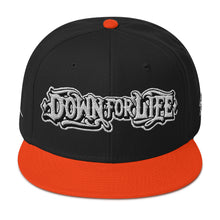 Load image into Gallery viewer, Down For Life Inc. 2023 BIG Logo SnapbackSnapback Hat
