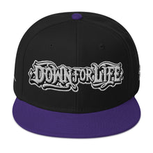 Load image into Gallery viewer, Down For Life Inc. 2023 BIG Logo SnapbackSnapback Hat
