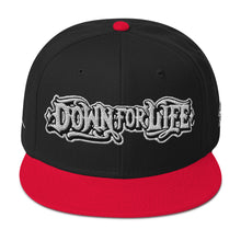 Load image into Gallery viewer, Down For Life Inc. 2023 BIG Logo SnapbackSnapback Hat
